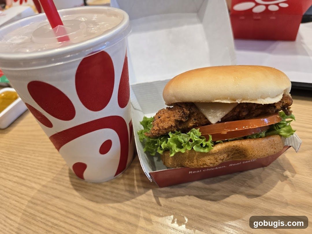Chicken Sandwich and Drink