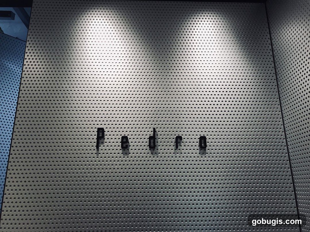 Pedro Logo