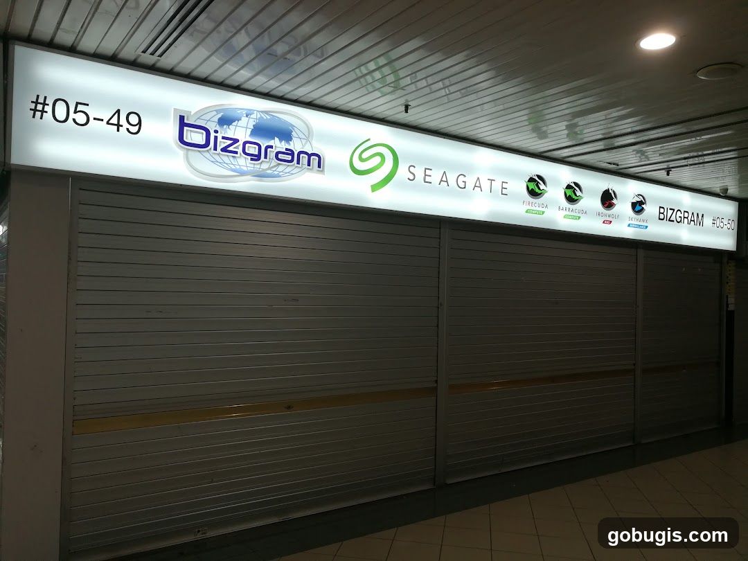 Bizgram Asia Pte Ltd