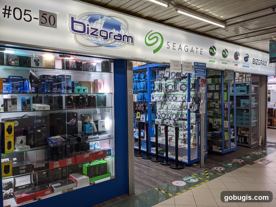 Bizgram Asia Pte Ltd