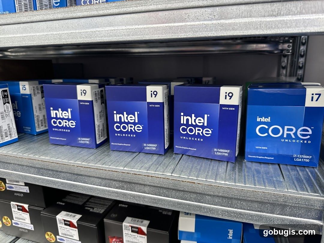 Intel Processors on Shelves