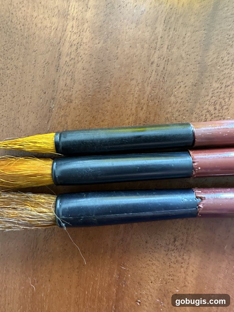 Three paintbrushes