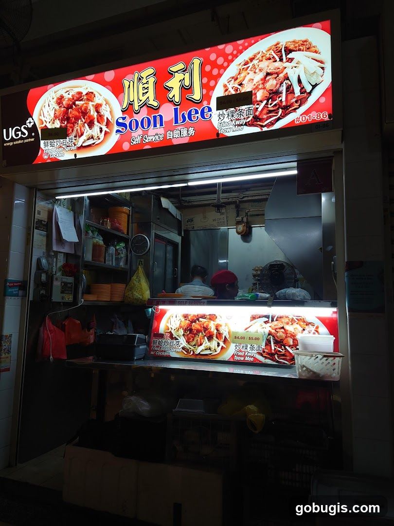 Soon Lee Fried Kway Teow Mee (#01-86)
