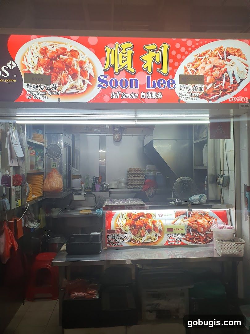 Soon Lee Fried Kway Teow Mee (#01-86)