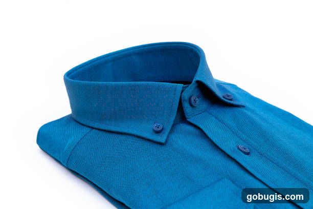Blue Button-Down Shirt