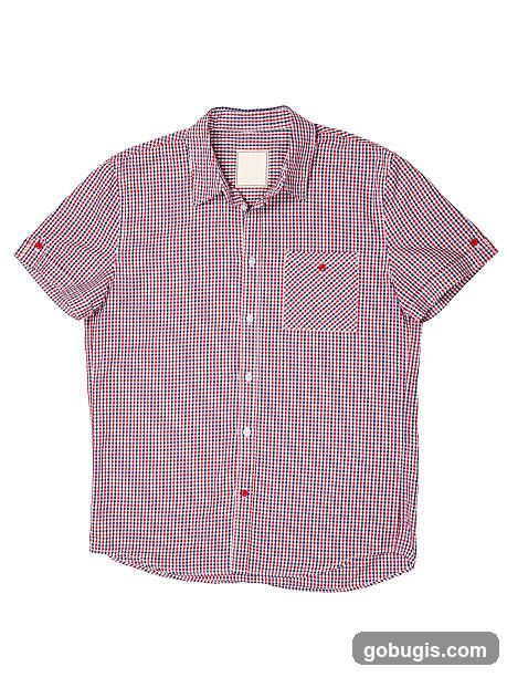 Red and Blue Gingham Shirt