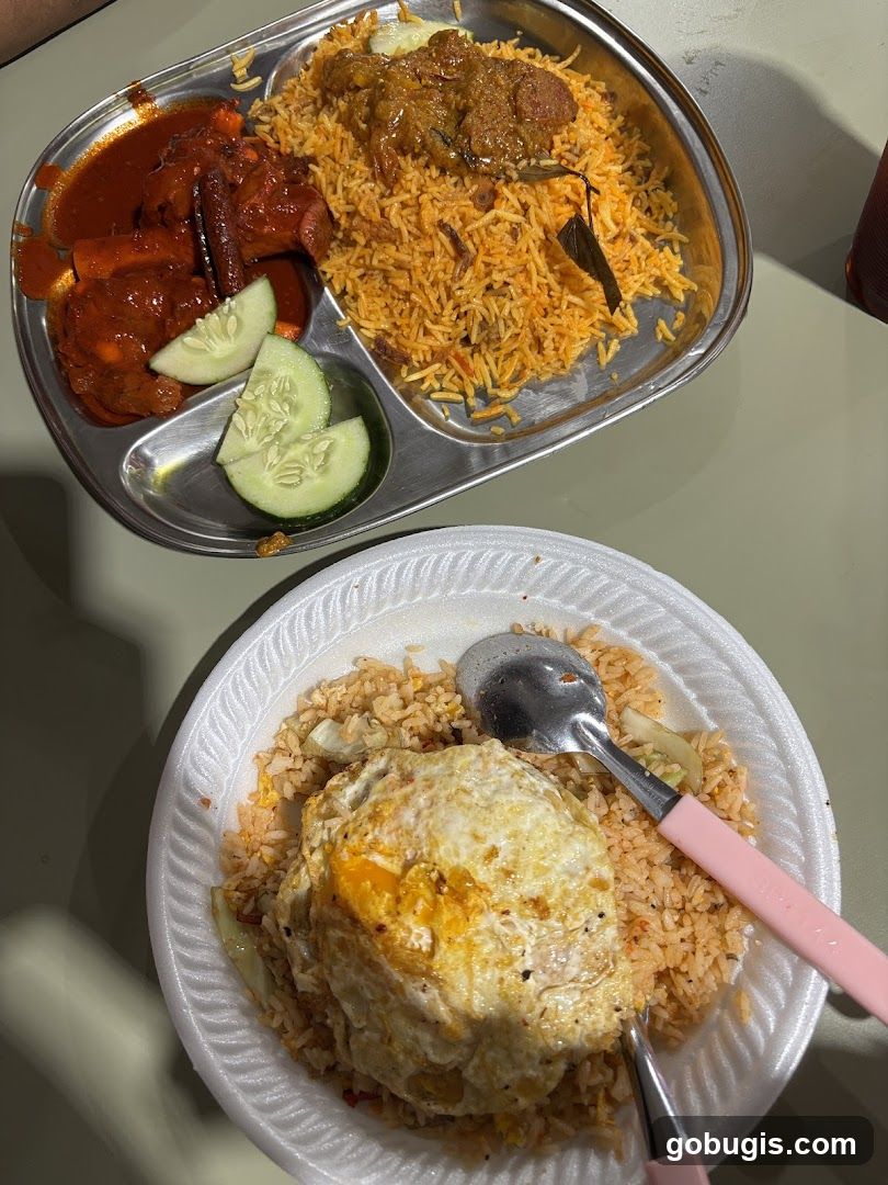 Indian Food Platter and Fried Rice
