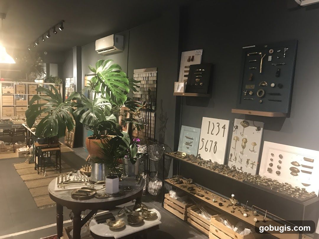 Interior of a shop with hardware and plants