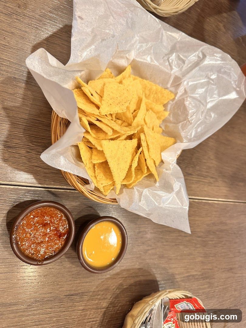 Nachos with Salsa and Cheese Dip
