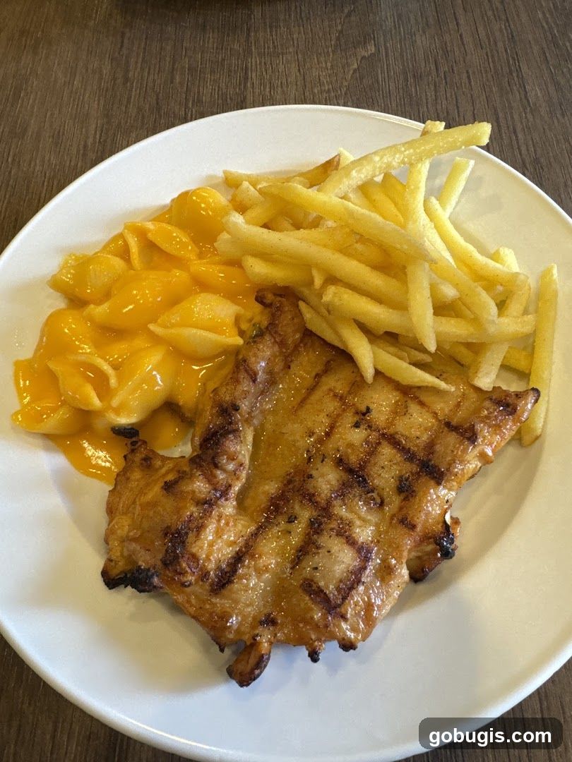 Grilled Chicken with Macaroni and Cheese and Fries