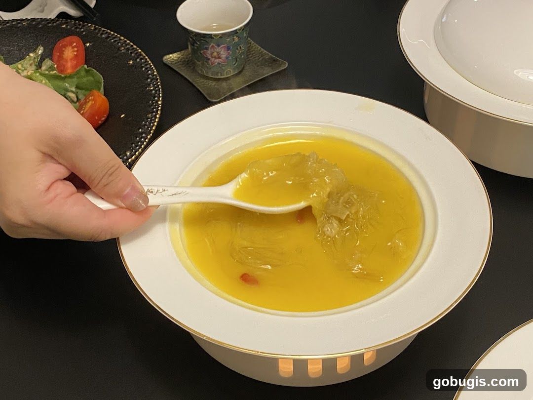 Shark Fin Soup