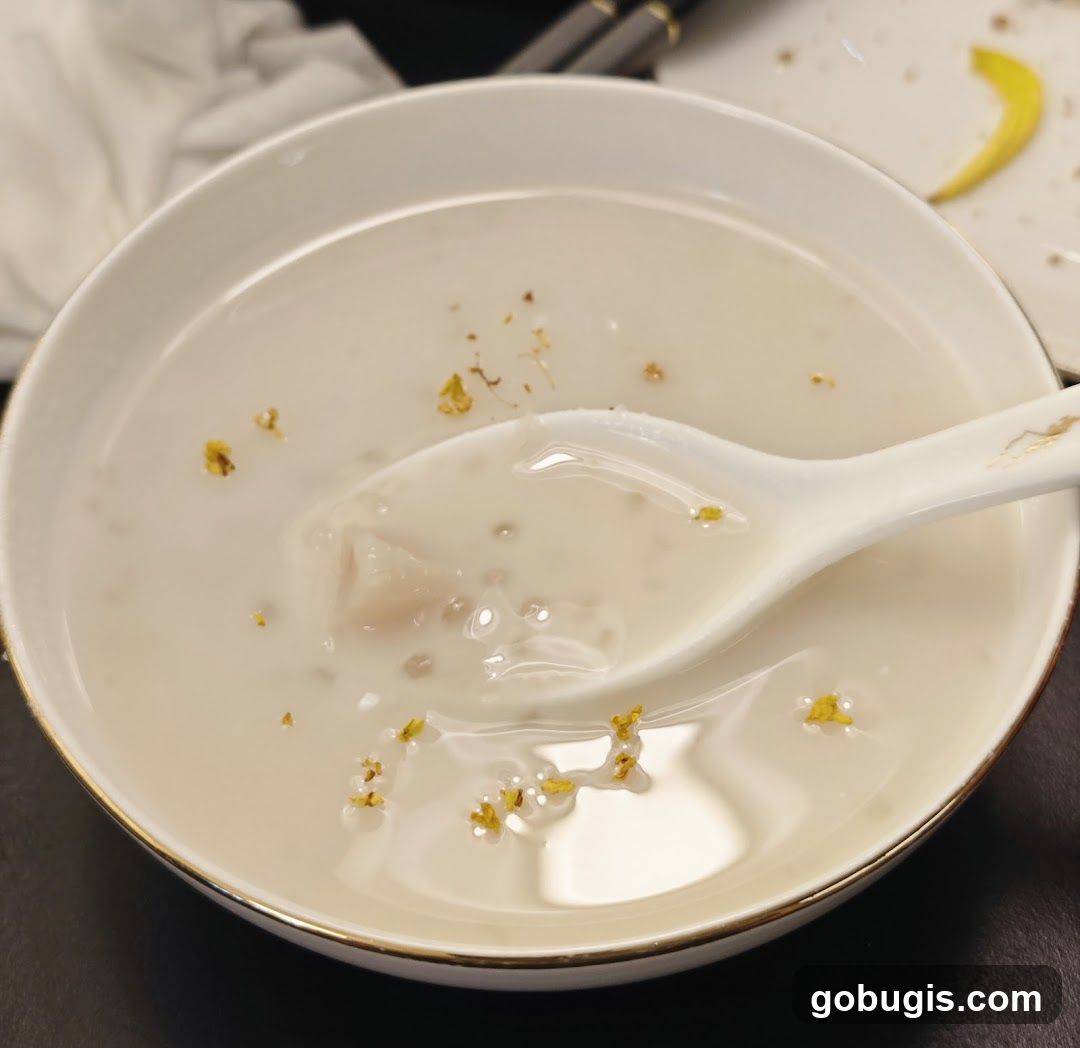 Dessert Soup