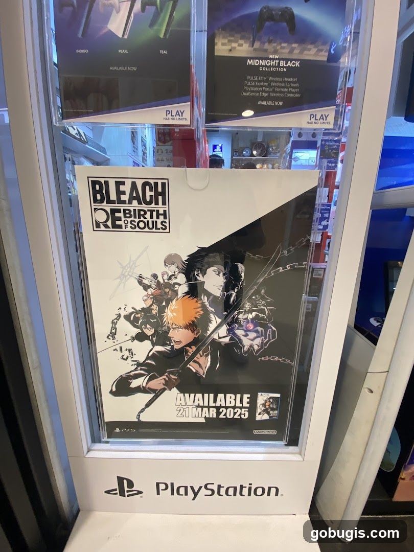 PlayStation Display