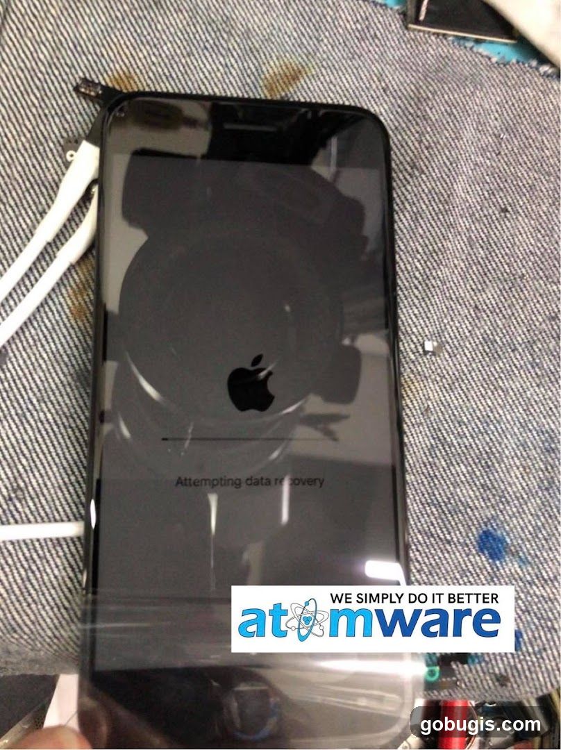 iPhone Data Recovery