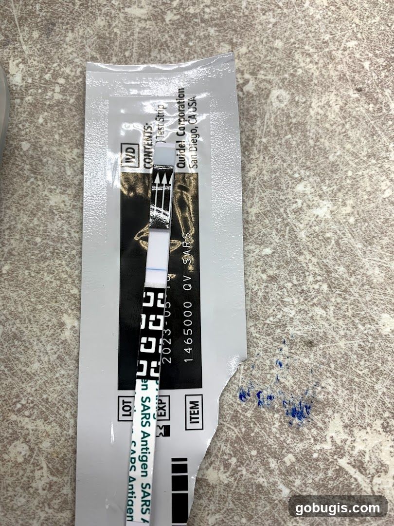 COVID-19 Antigen Test Strip
