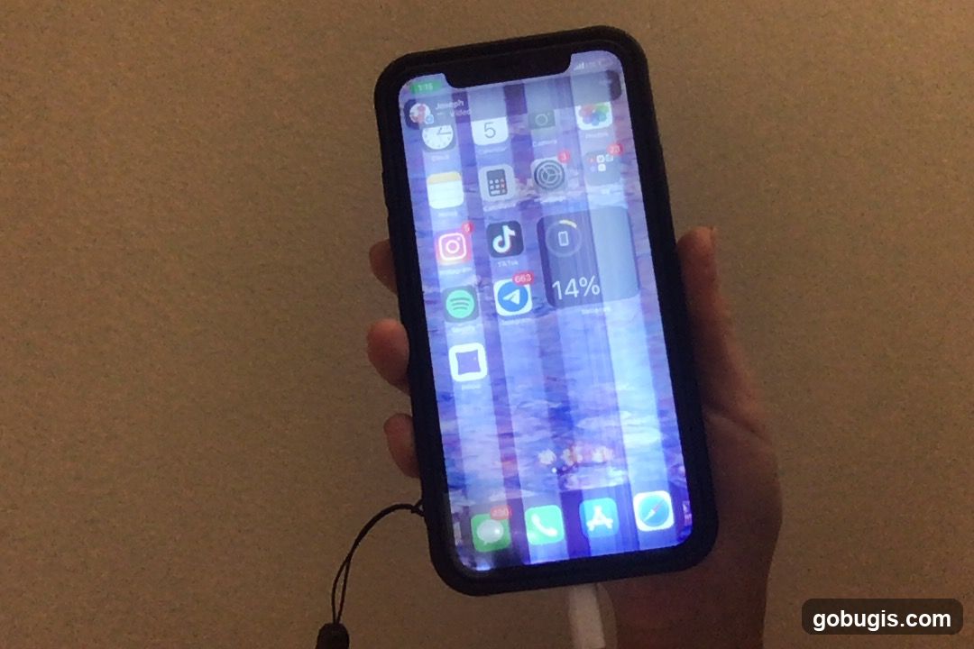 iPhone Home Screen