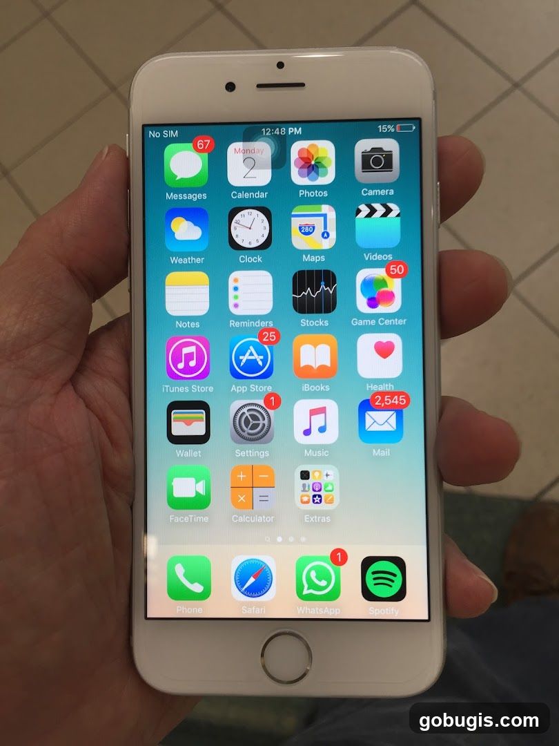 iPhone Home Screen