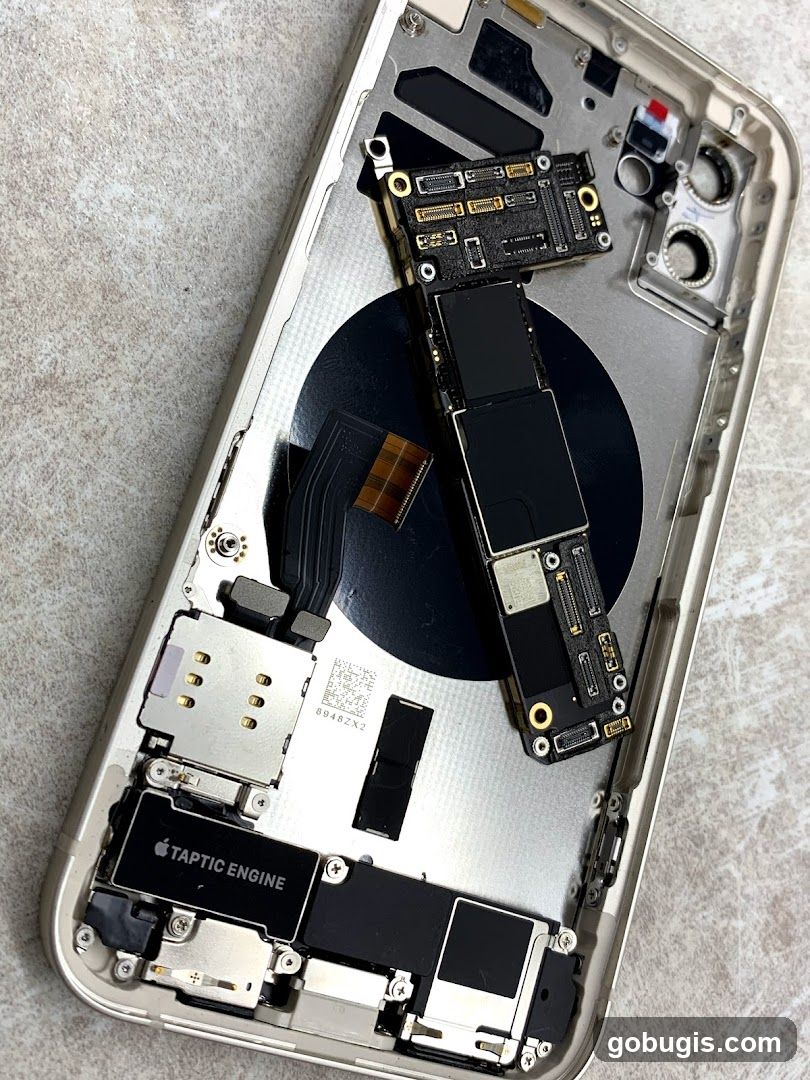 Disassembled iPhone Components