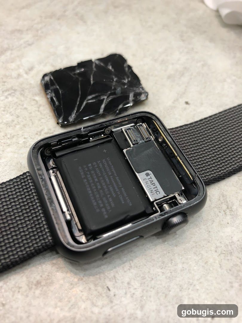 Damaged Apple Watch