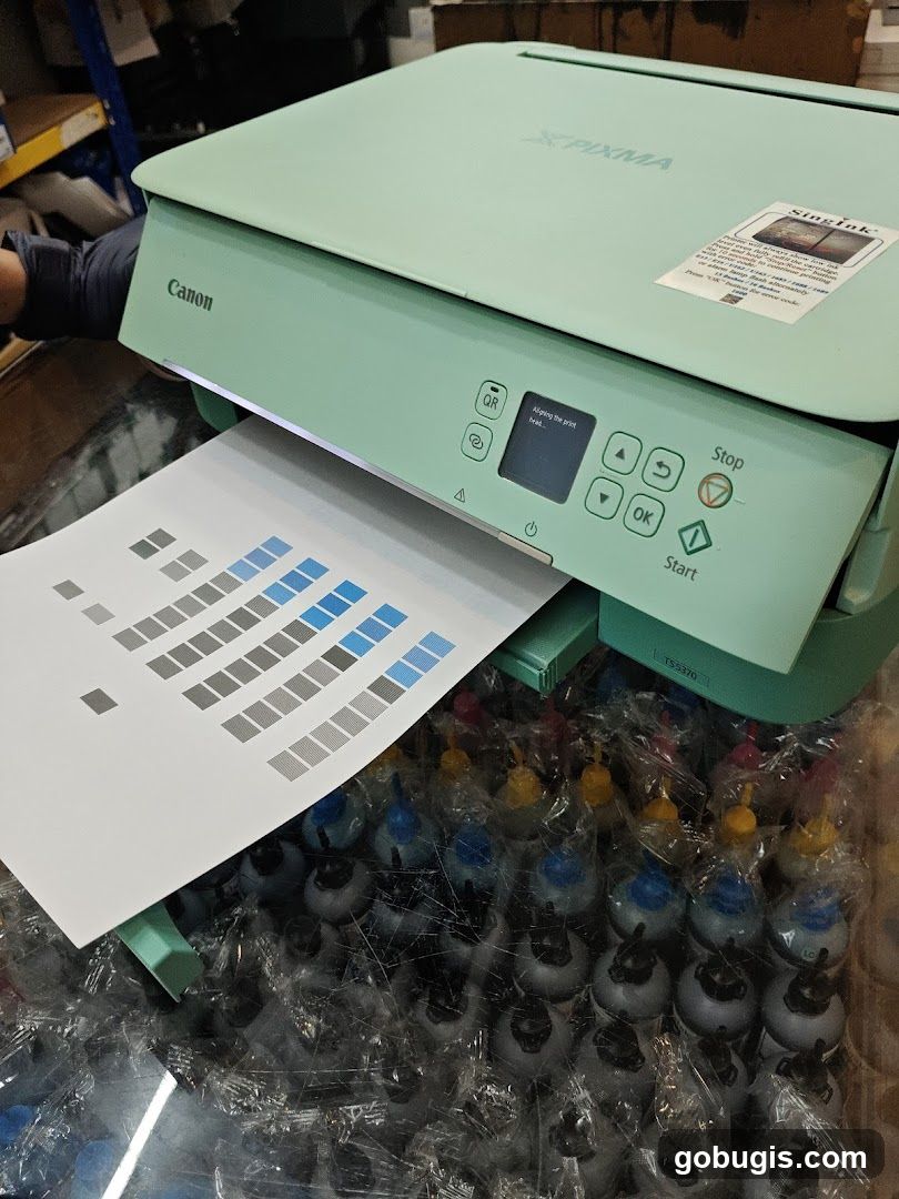 Canon Printer with Ink Bottles