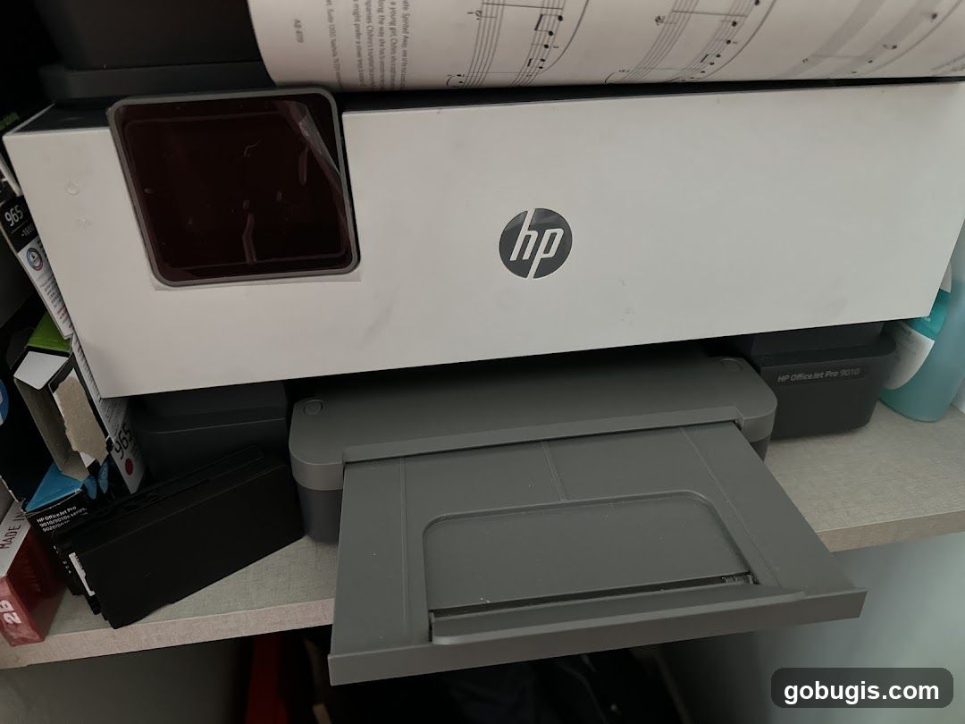 HP Printer with Ink Cartridges