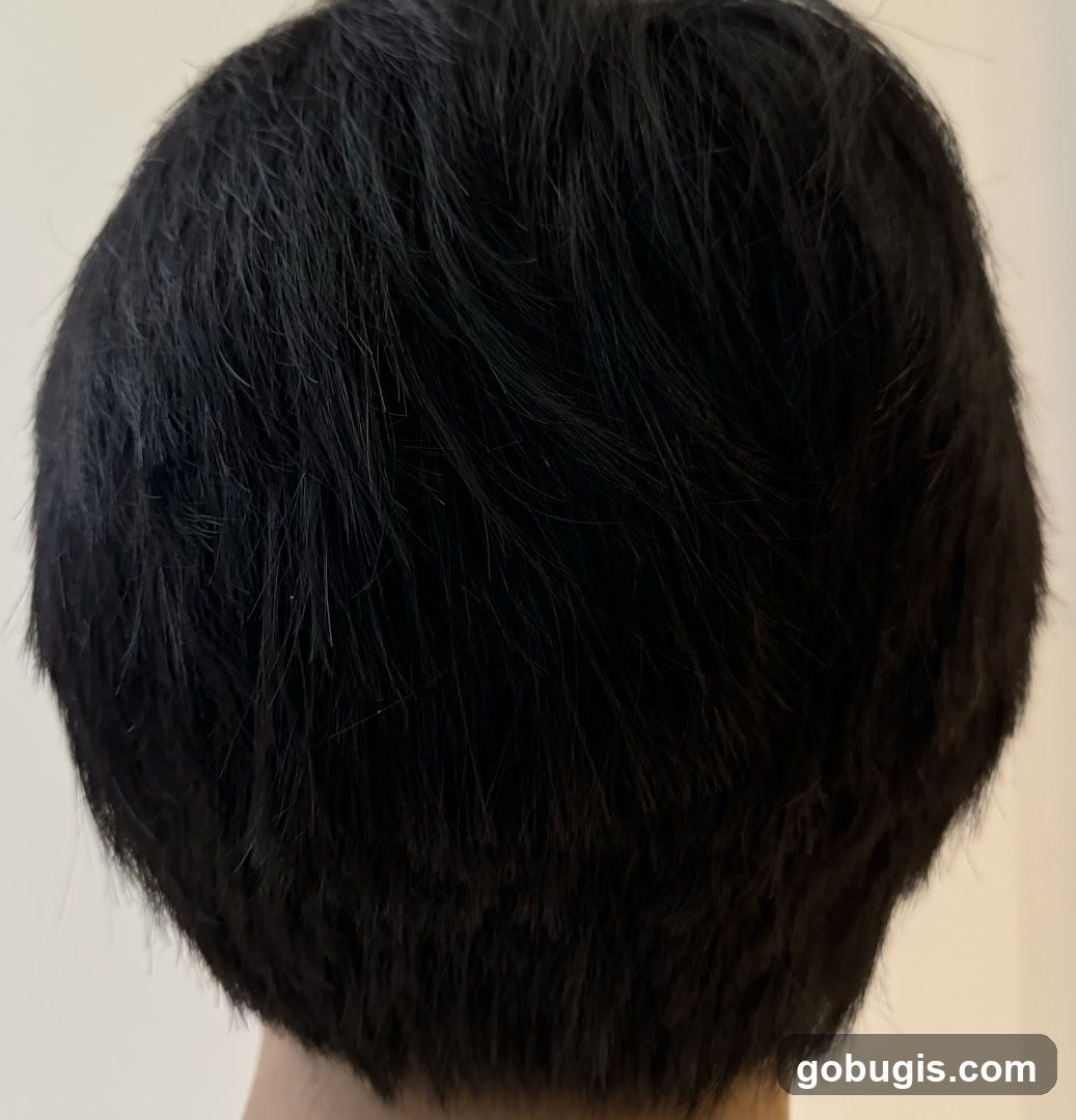 Back of Head with Black Hair