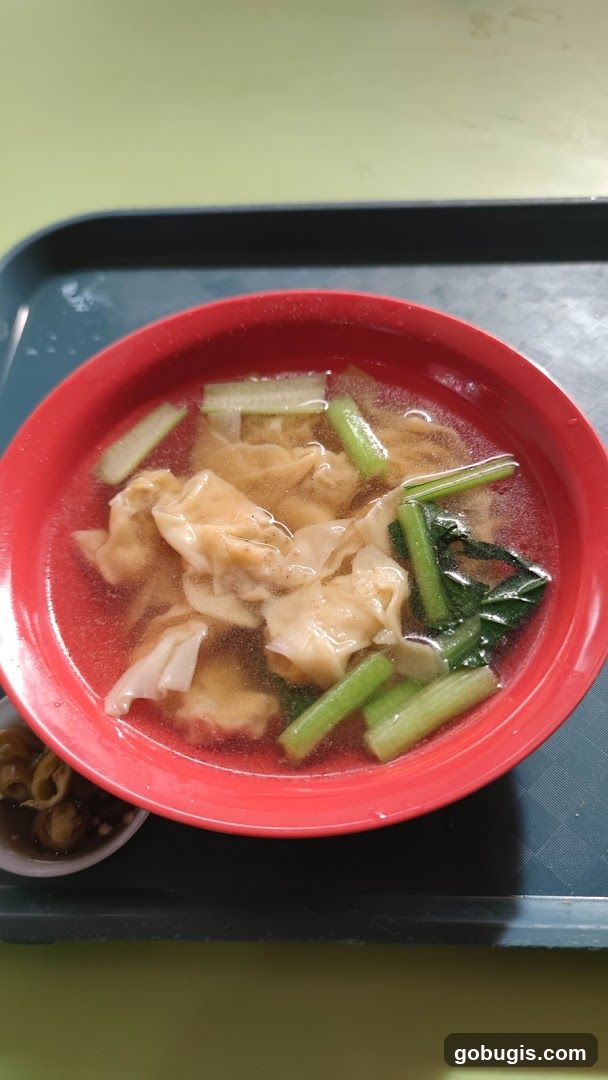 Wonton Soup
