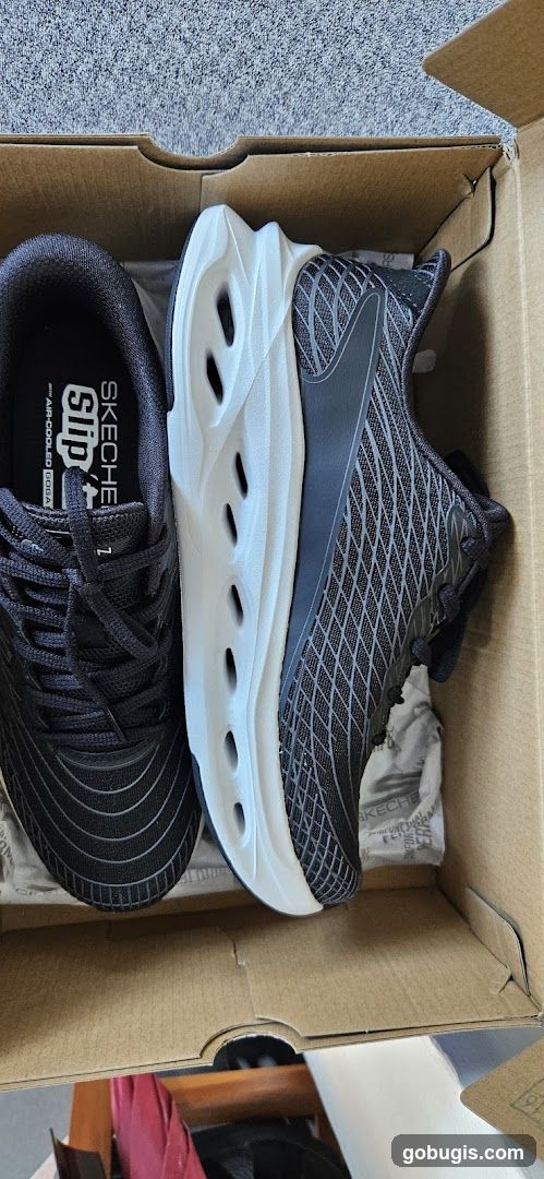 Skechers Shoes in Box
