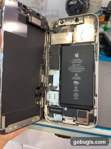 Disassembled Smartphone