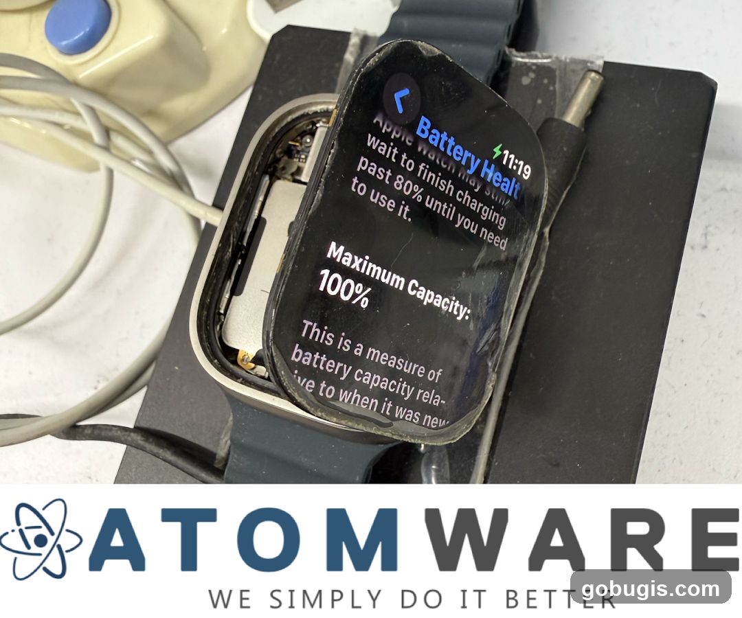 Apple Watch Battery Health
