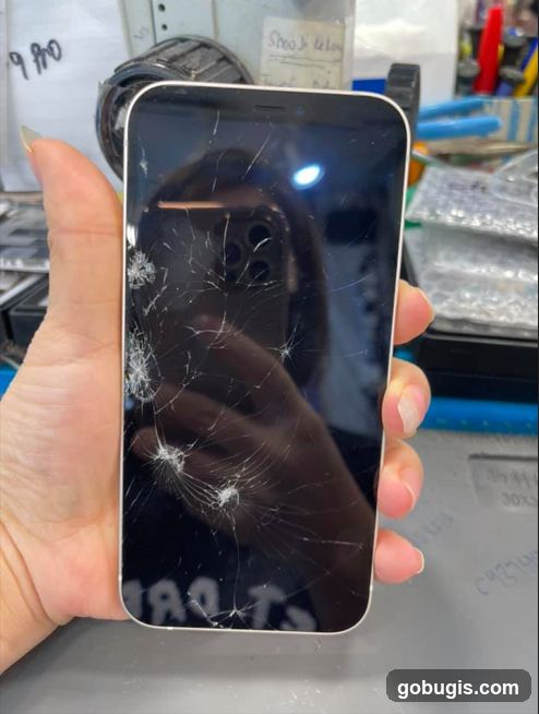 Cracked Smartphone Screen