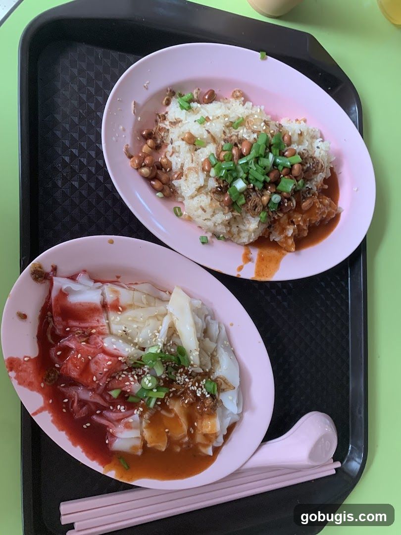 Two Plates of Food on a Tray