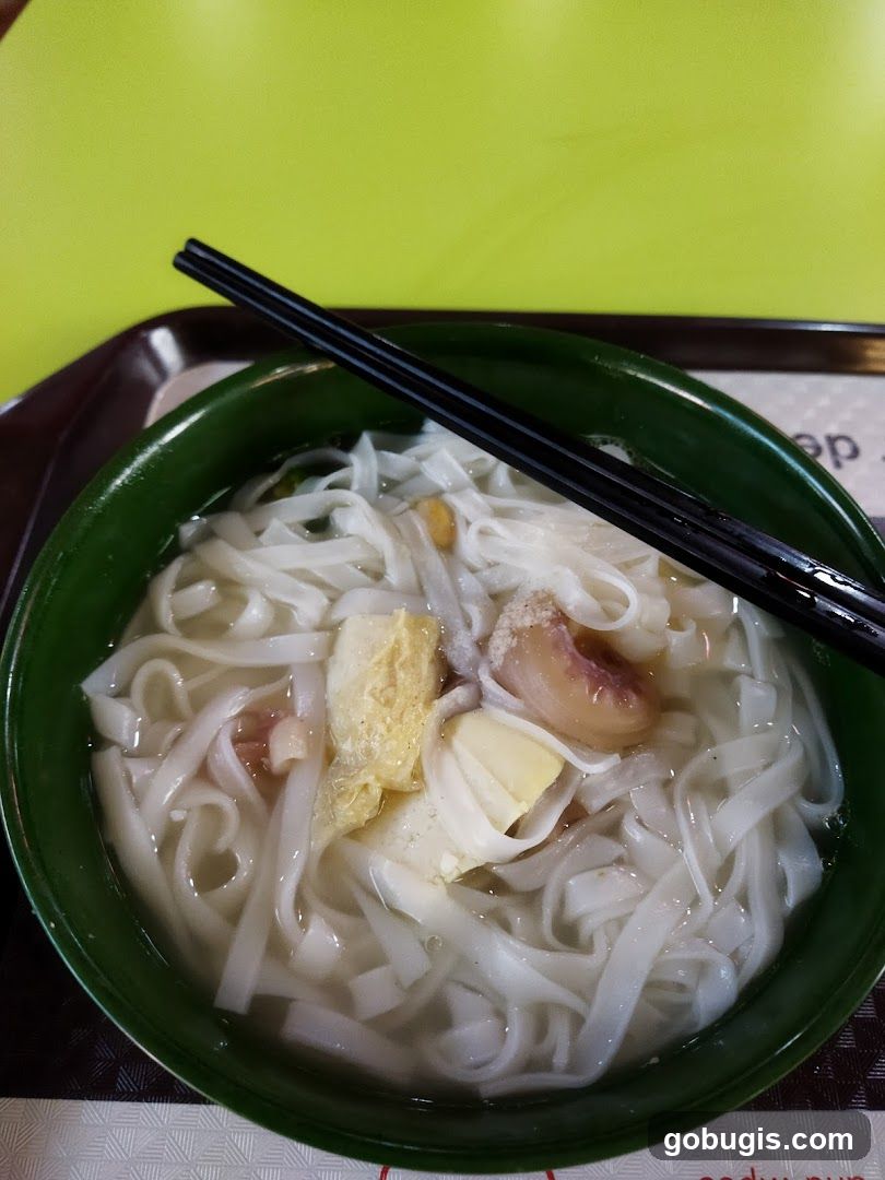 Noodle Soup