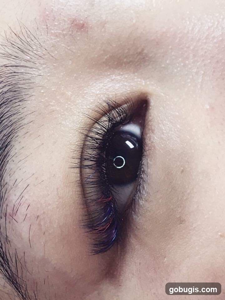 Close-up of an eye with colored eyelash extensions