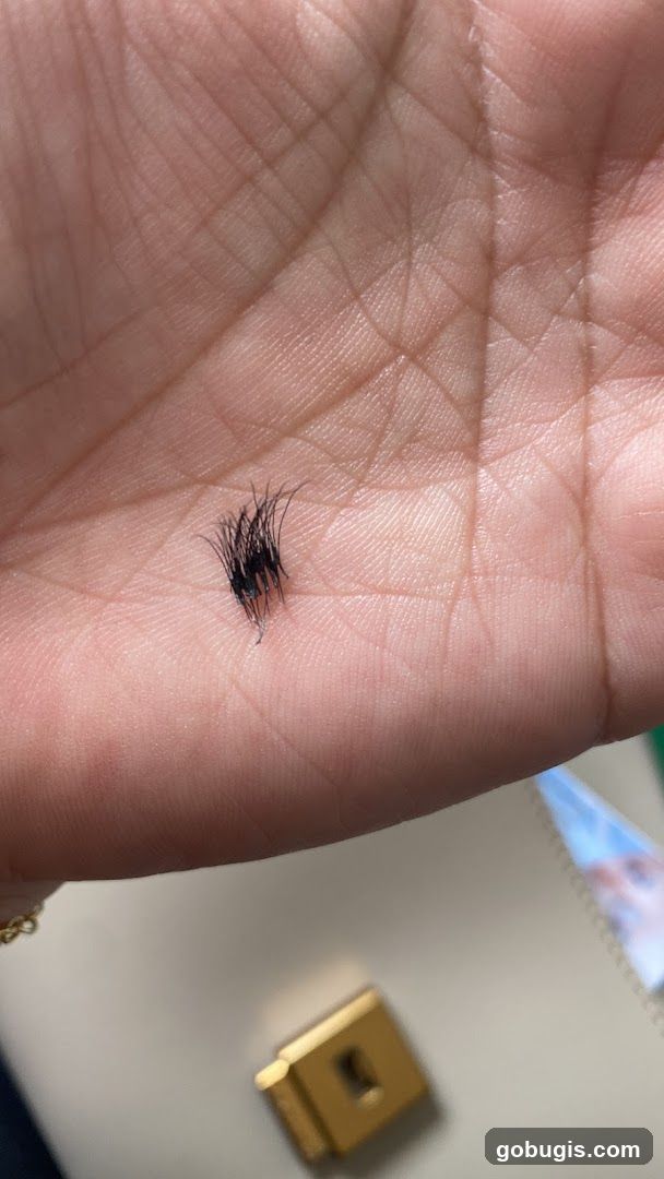 Cluster Lashes on Palm