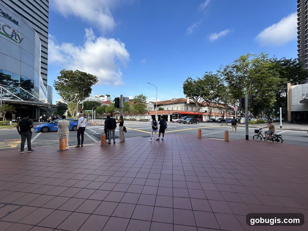 Street Scene with Pedestrians and Traffic