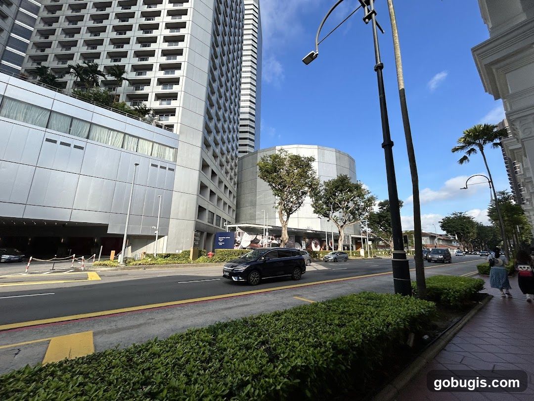 Street View with Modern Buildings