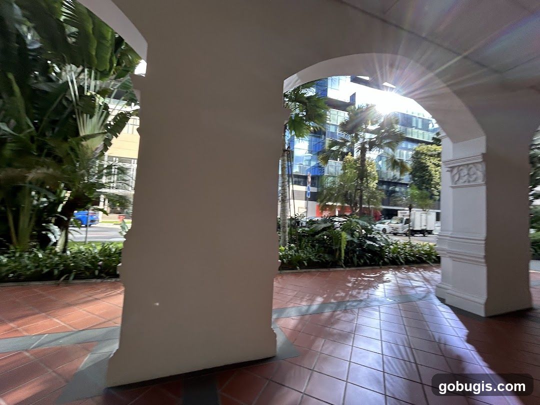 Sunlight through Arches with Tropical Plants and Modern Buildings