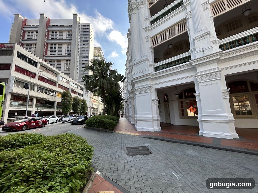 Street View with Buildings and Cars