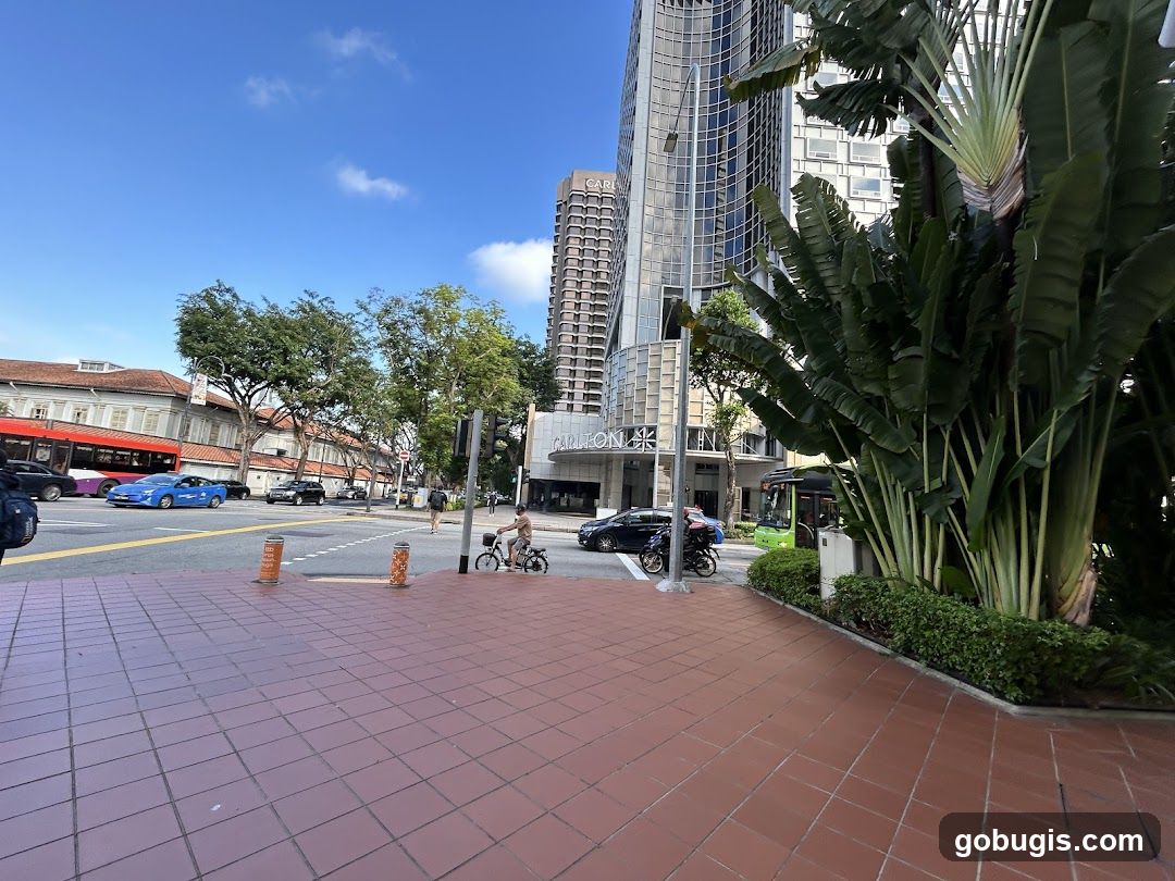 City Street Scene with Modern Buildings and Lush Vegetation