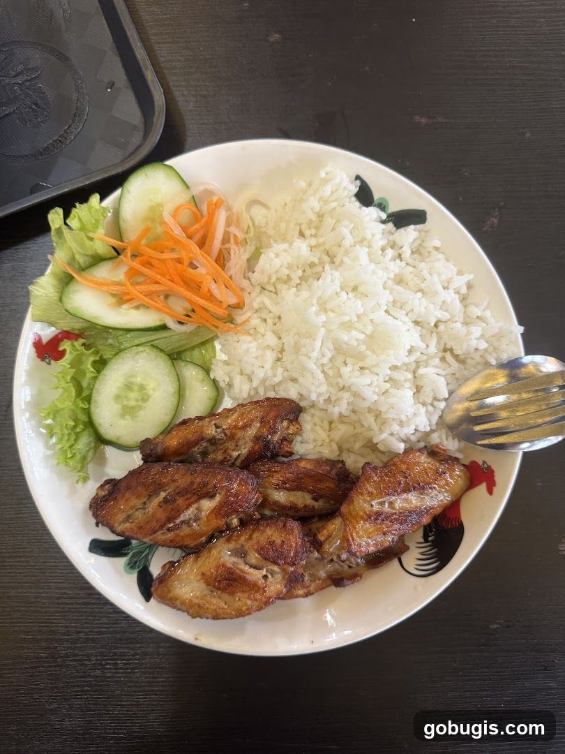 Chicken Wings with Rice and Salad