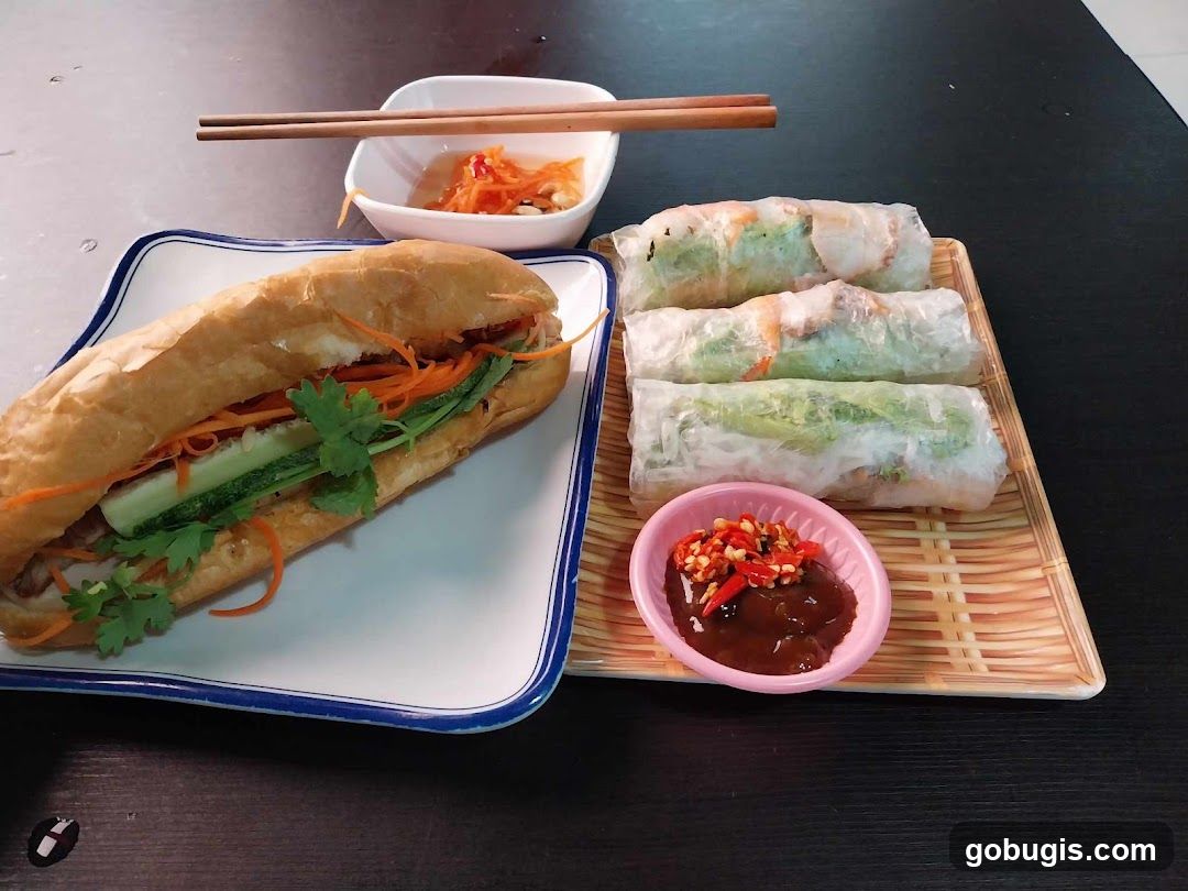 Banh Mi and Spring Rolls