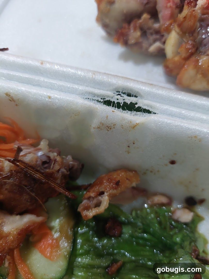 Food in a Container