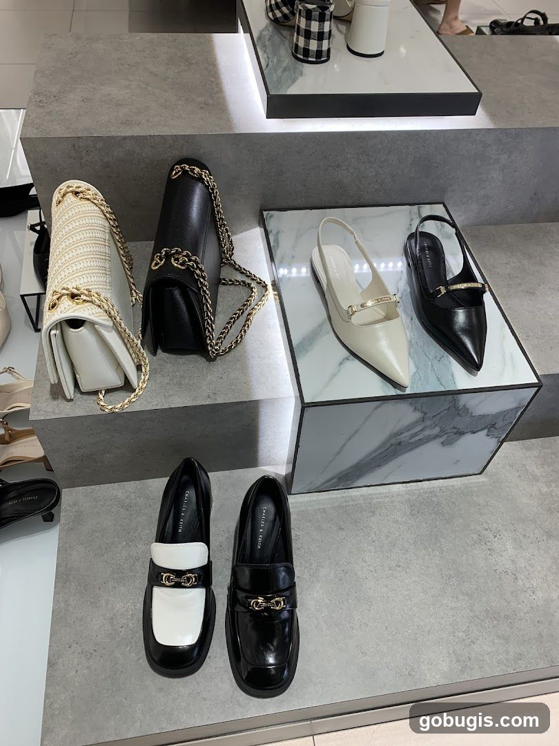 Fashionable Footwear and Handbags