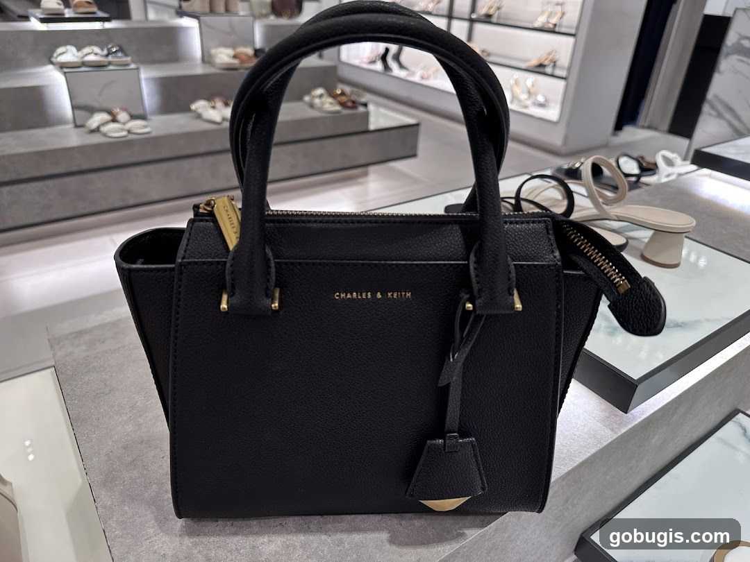 Black Handbag