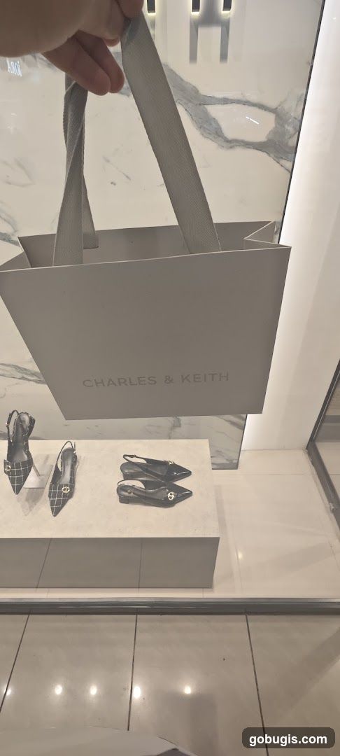 Charles & Keith Shopping Bag and Shoes