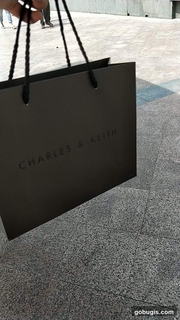 Charles & Keith Shopping Bag