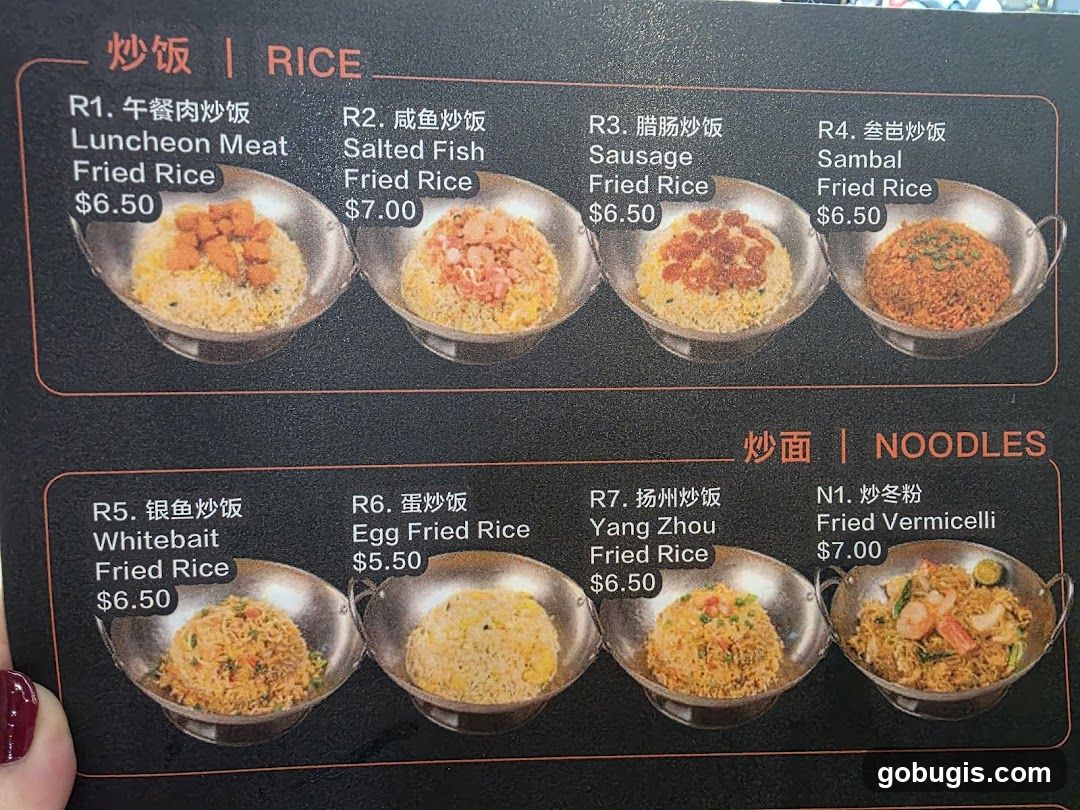 RICE and NOODLES