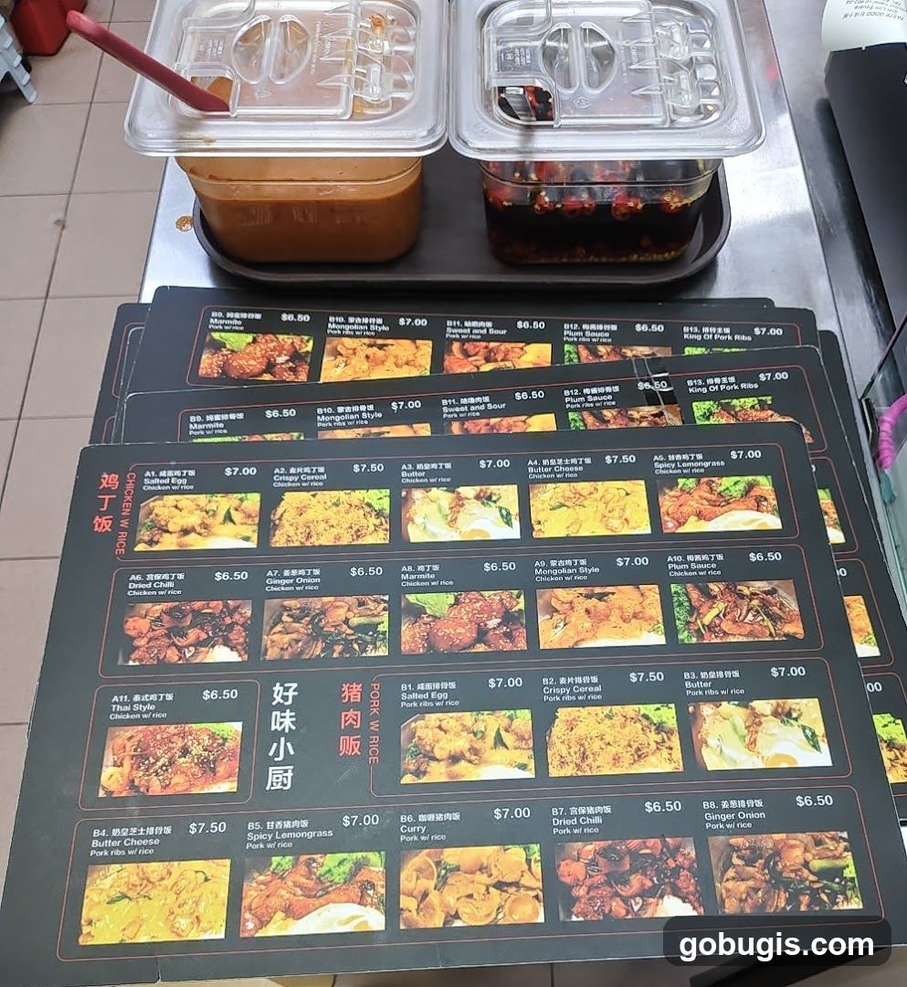 好味小厨 Pork w/ Rice Chicken w/ Rice