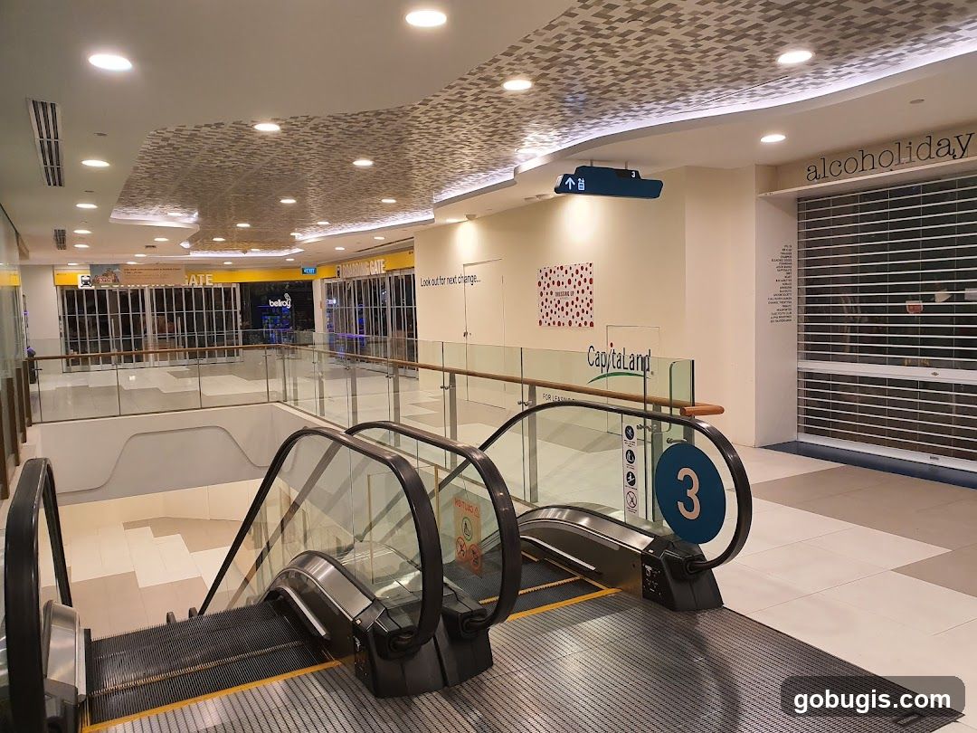 Mall Interior with Escalators and Closed Shops